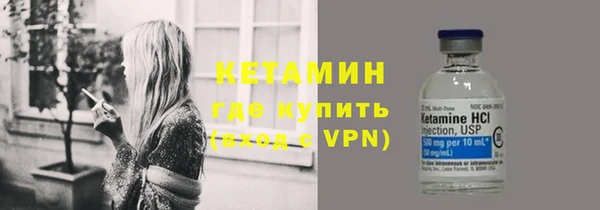 индика Чердынь