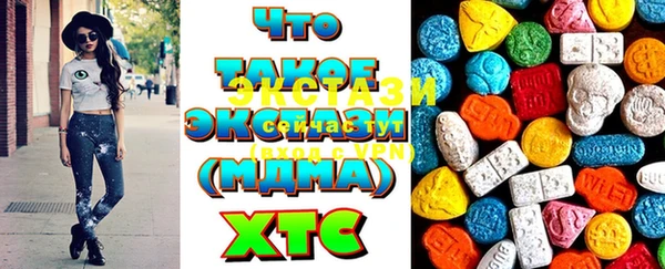 индика Чердынь