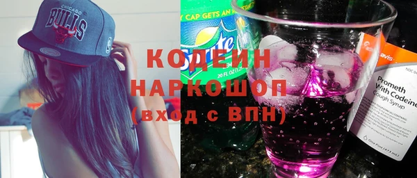 индика Чердынь