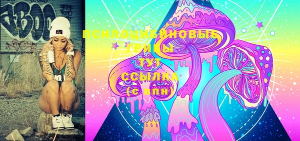 индика Чердынь