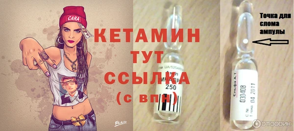 индика Чердынь
