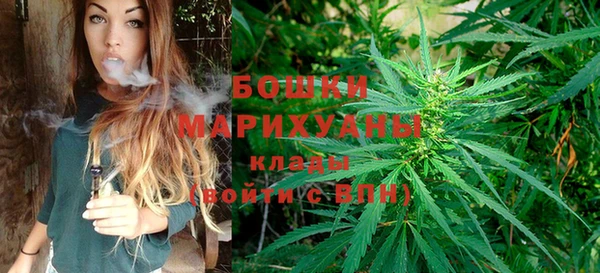 индика Чердынь