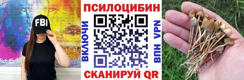 где продают Химки Галлюциногенные грибы мухоморы